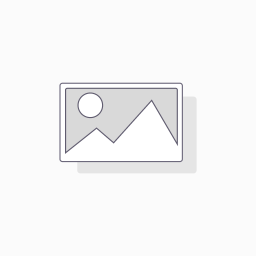 Odoo ERP Online Consulting Service